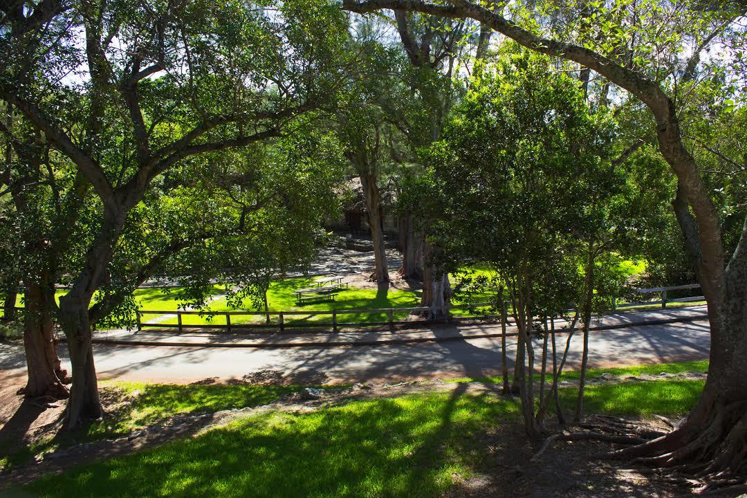 Parque Greynolds