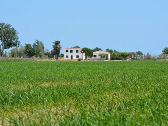 Parque Natural del Delta del Ebro