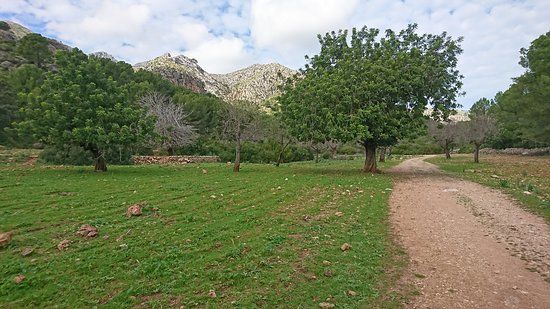 Finca Galatzo
