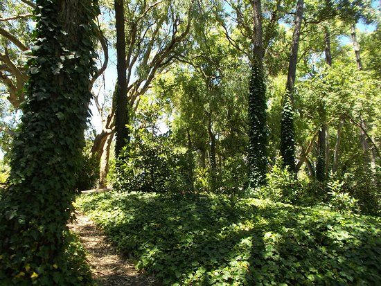 Pinar del Norte