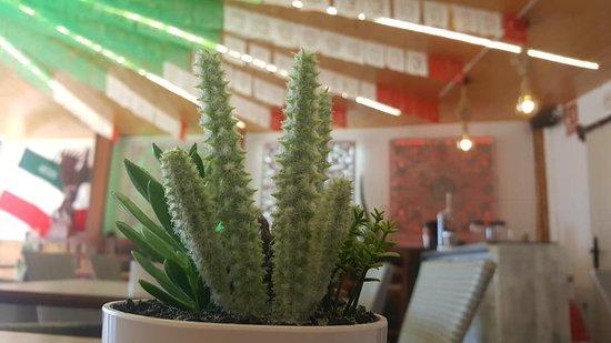 Aptc Mexican Food