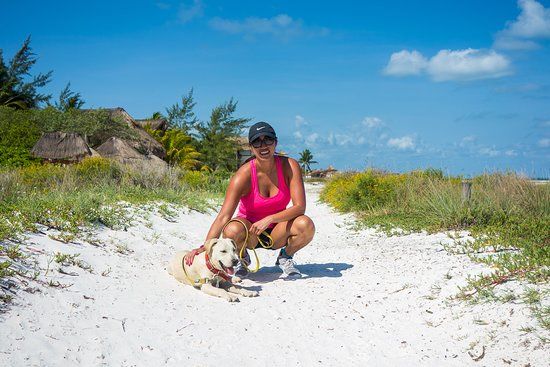 el Refugio Holbox