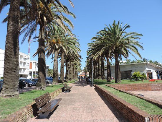la Plaza Gral Artigas