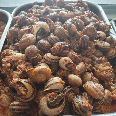 masqpollos