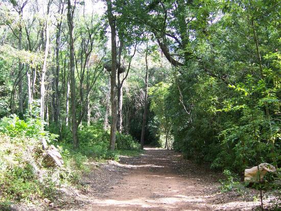 Arboretum Lussich