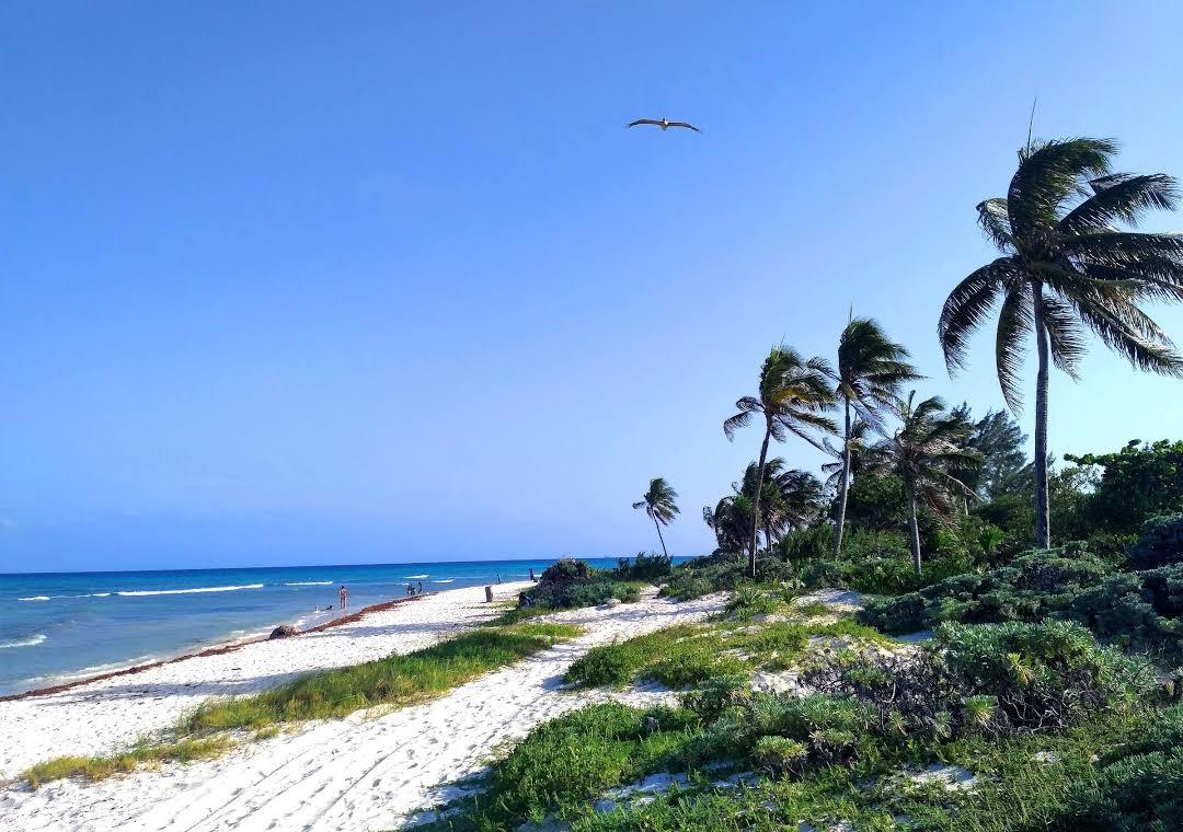 Punta Esmeralda