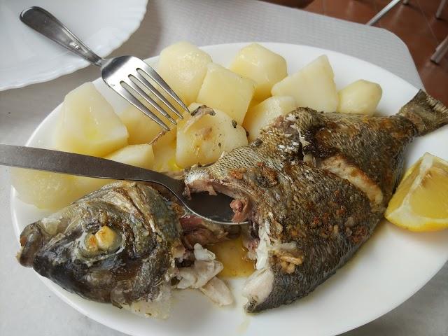 Bar Janacho