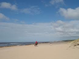 Playa Chihuahua