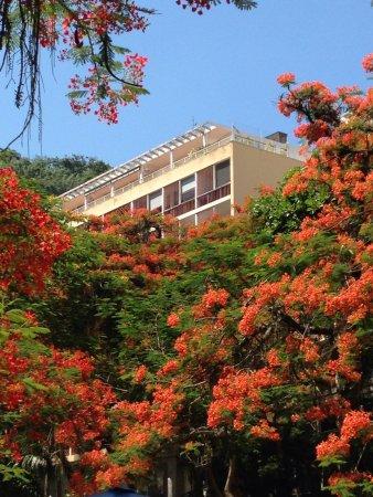 Parque Guinle