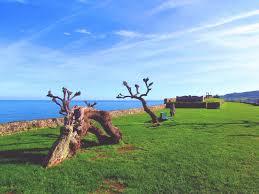 Paseo de San Pedro