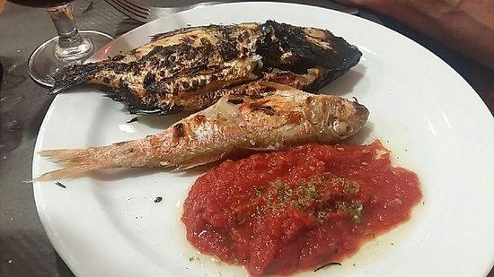 Restaurant Nazdravi- casa julio
