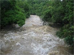 Río Mameyes