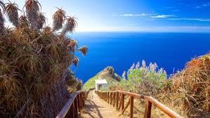 Ponta da Oliveira