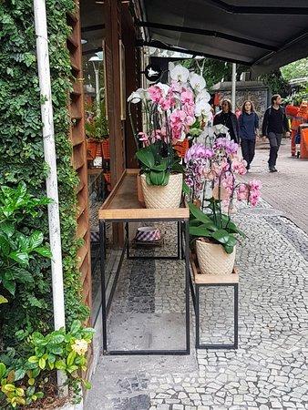 La Fruteria