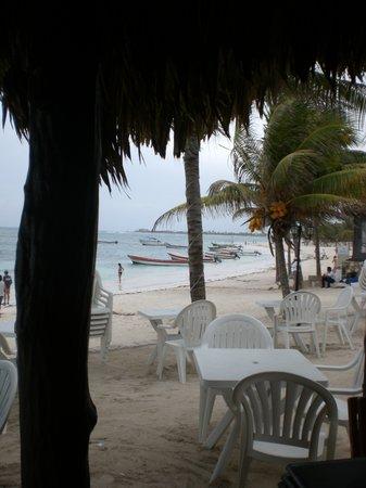Akumal Dive Center