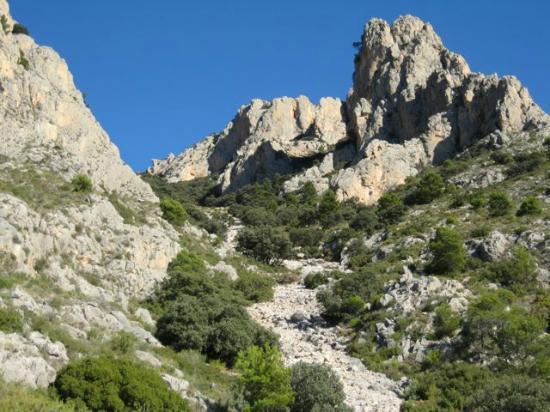 Puig Campana