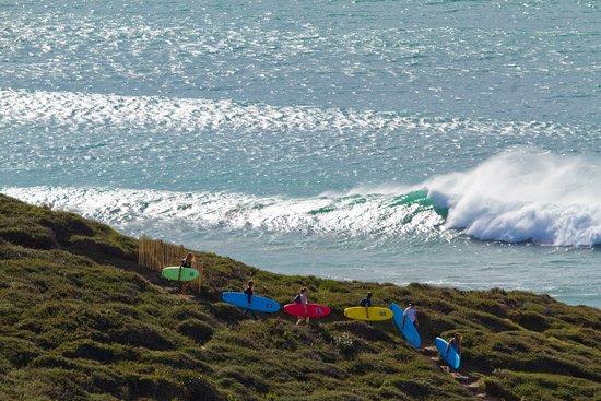 Mahi-Mahi Surf School