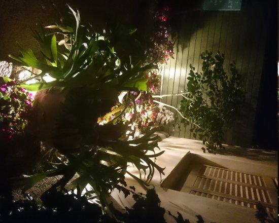 RAUXA nit i copes
