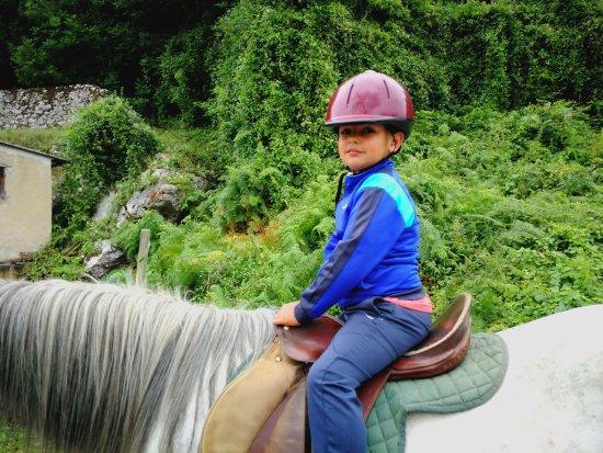 Rutas a Caballo El Bosque