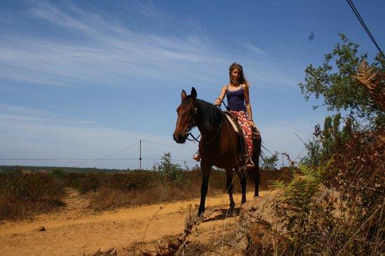 Algarvetrail