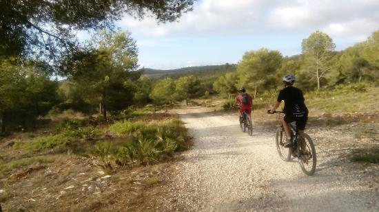Cyclus Rutas En Bici