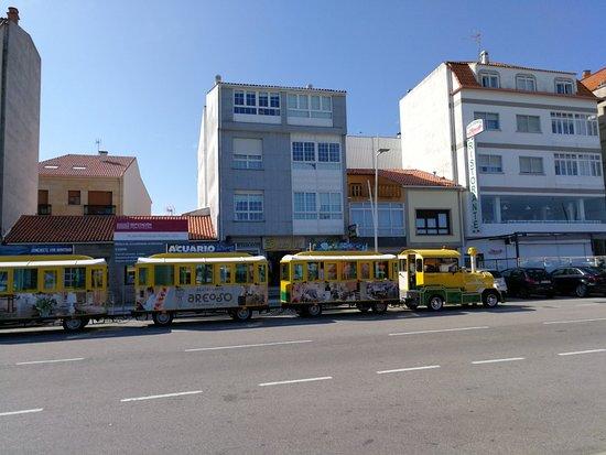 Turi Tren