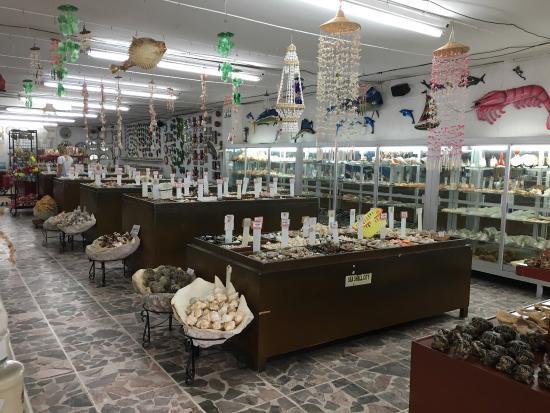 Sea Shell City