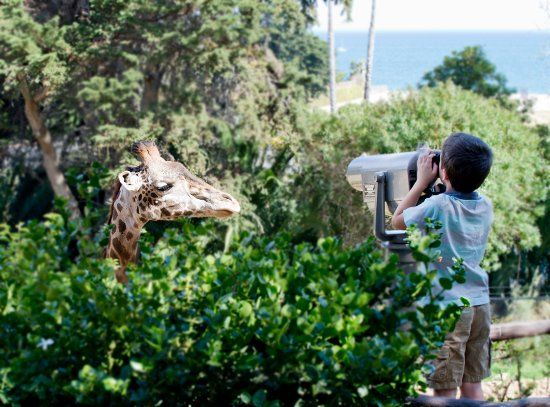 Zoológico de Santa Bárbara