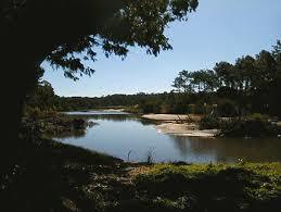 Arroyo del Potrero