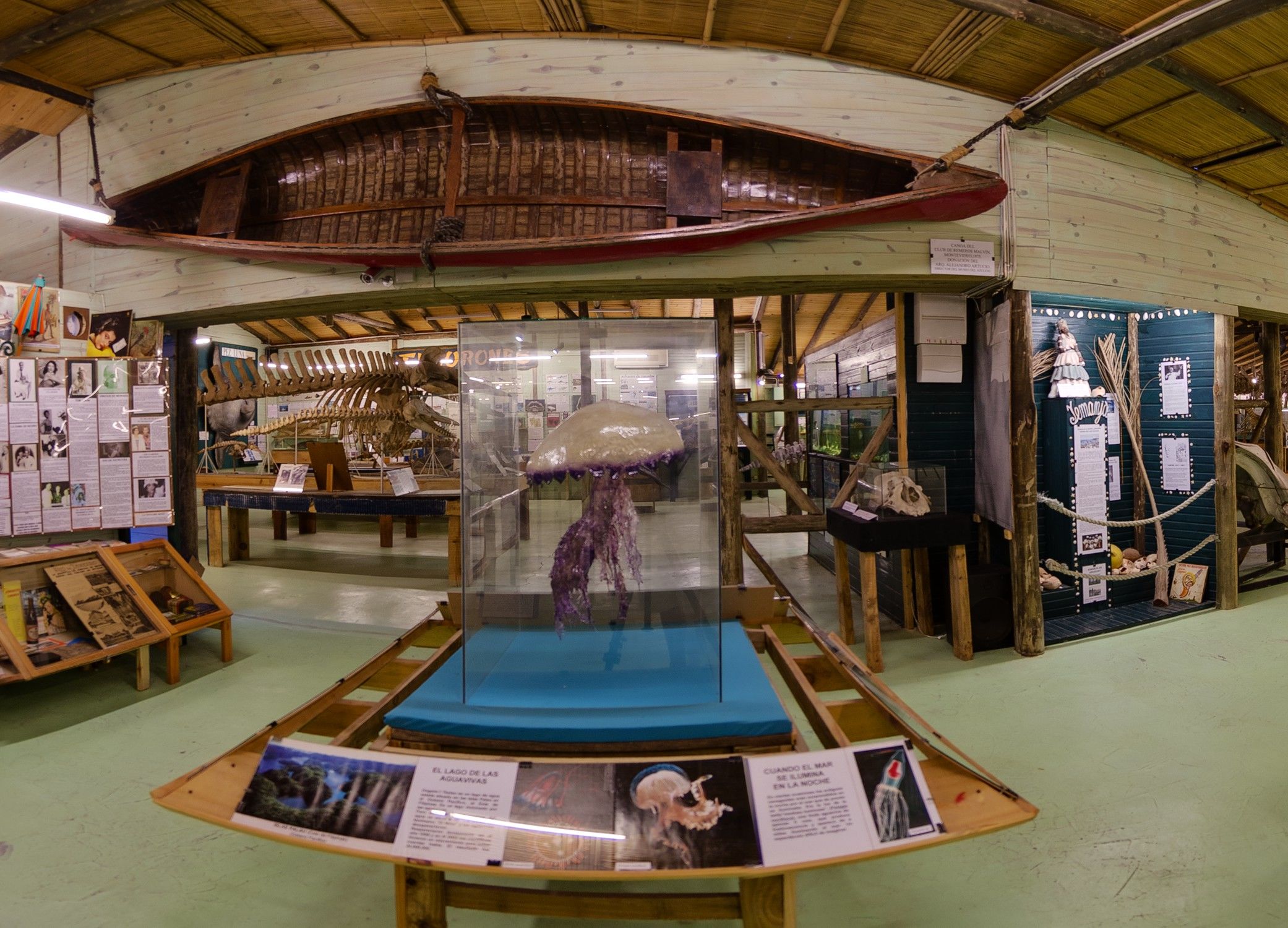 del Museo del Mar